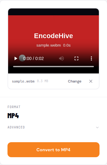 The loaded file showing a video preview, the file size, the output format set to MP4, and an orange Convert to MP4 button